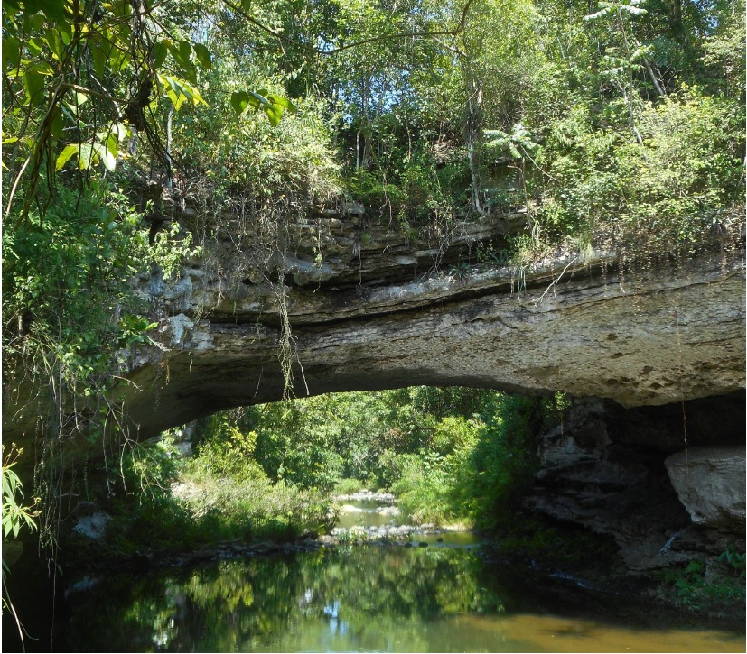 Puente Natural sobre el río Bitirí: principal objeto de conservación del área protegida.